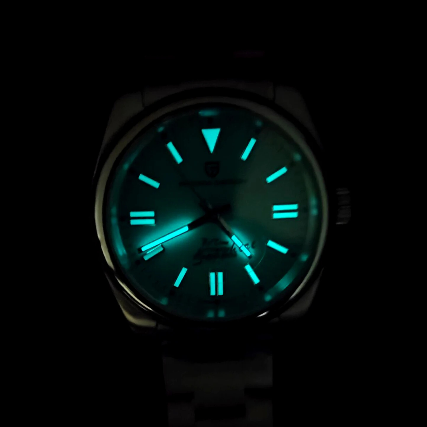 PAGANI DESIGN Luxury Classic M - Seiko Watch Prospex review and price