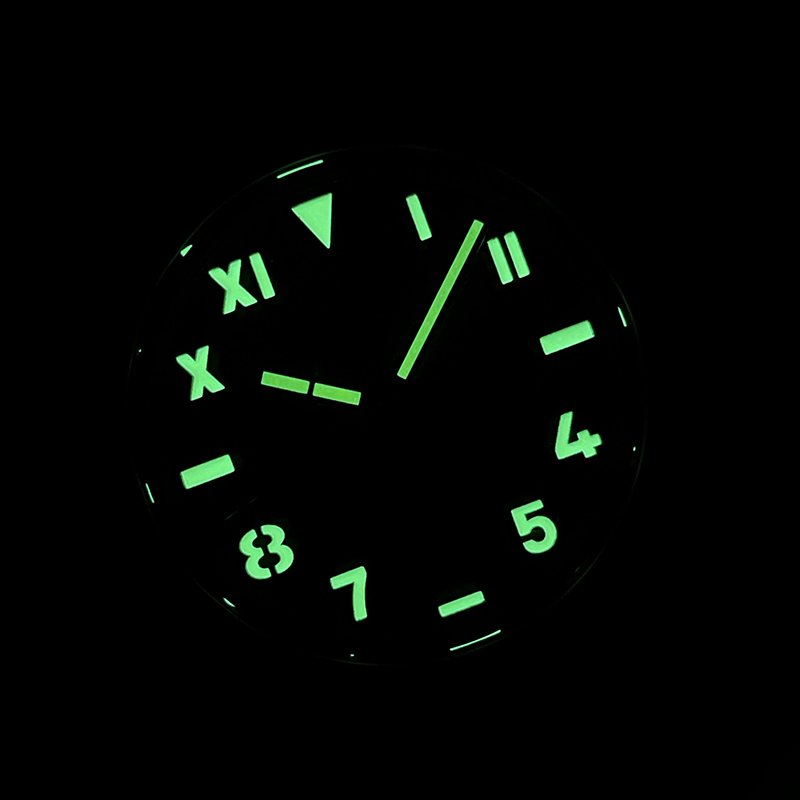 STEELDIVE Men Automatic Watch  - Seiko Watch Prospex review and price